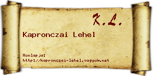 Kapronczai Lehel névjegykártya